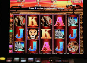 熊猫体育下载电脑免费版