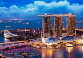 熊猫体育下载最新版